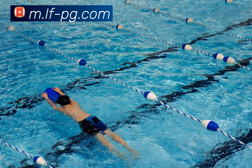 App Interface Preview